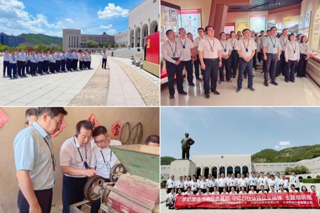 培訓活動(dòng)現場(chǎng)